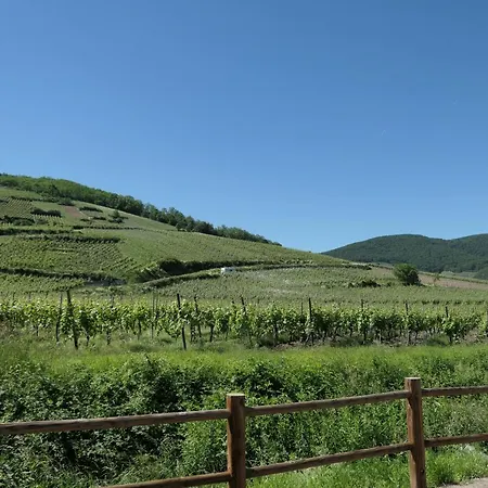 Au Petit Paradis 住宿加早餐酒店 阿莫施威尔
